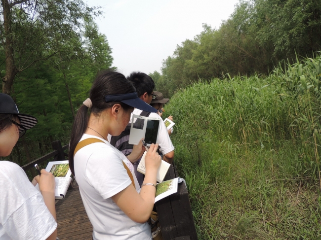 按图索骥02 按图索骥02